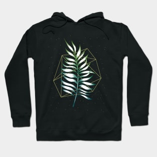 Geometry and Nature Hoodie